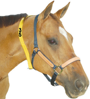 Mare ID Neck Strap Blank