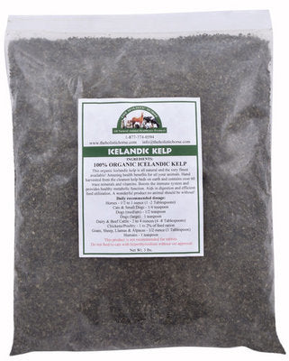 Organic Icelandic Kelp