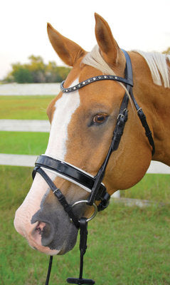 Uniquely English Elegance Dressage Bridle, White Padding