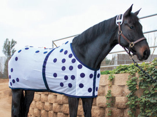Magnetic Horse Sheet