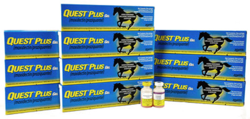 Zoetis Spring Tune-Up Kit, 10 Dose - 10 DOSE