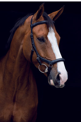 Rambo Micklem Deluxe Competition Bridle, Black