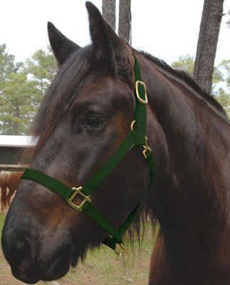 Nylon Draft Halter, Small (1200-1600 lb)