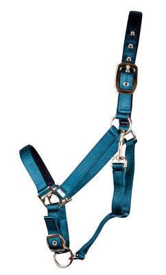 Lined Adjustable Nylon Halter for Medium Horse (600-900 lb)