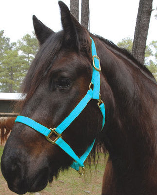 Nylon Draft Halter, Small (1200-1600 lb)