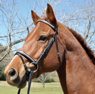 Sparkling Dressage Bridle