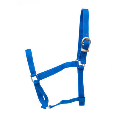 Jeffers Turnout Halter, Suckling (150-250 lb)