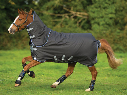 Amigo Bravo 12 Plus Turnout, Medium, Excalibur