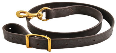 Deluxe Biothane Tie Down Strap