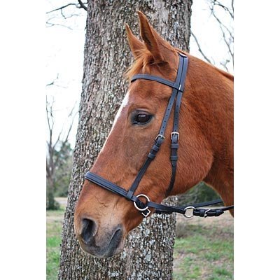 Synthetic Black Beta Webbing Bitless Bridle