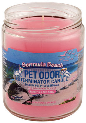 Pet Odor Exterminator Candle, Bermuda Beach