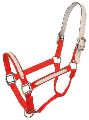 Leather Overlay Breakaway Halter