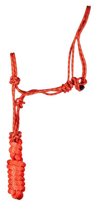 Rope Halter with Lead