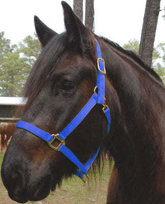 Nylon Draft Halter, Small (1200-1600 lb)