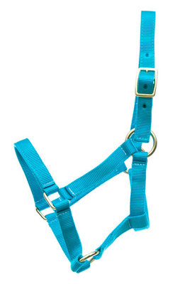 Jeffers Miniature Yearling (under 100 lb) Halter