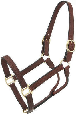Royal King Preakness Leather Track Halter