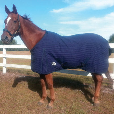 Jeffers Canvas Horse Blanket, Navy &amp;amp; White Check