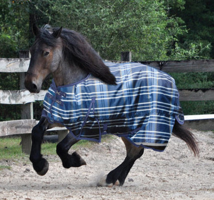 Jeffers Solaris 1200D Draft Turnout Sheet, Sapphire Plaid