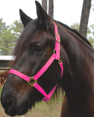 Nylon Draft Halter, Small (1200-1600 lb)