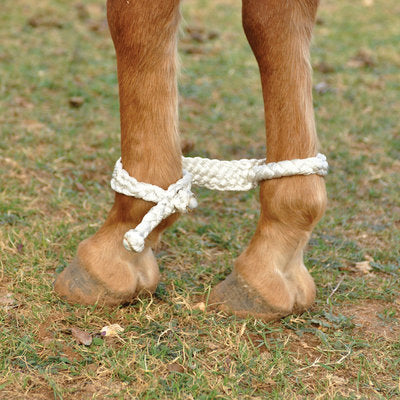 Martin Saddlery Mule Tape Hobbles