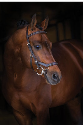 Rambo Micklem Deluxe Competition Bridle, Dark Havana