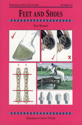 Feet &amp;amp; Shoes by Toni Webber