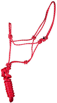 Rope Halter with Lead