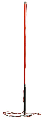 Collapsible Carbon Shaft Training Whip