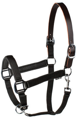 Millstone Nylon Breakaway Halter 