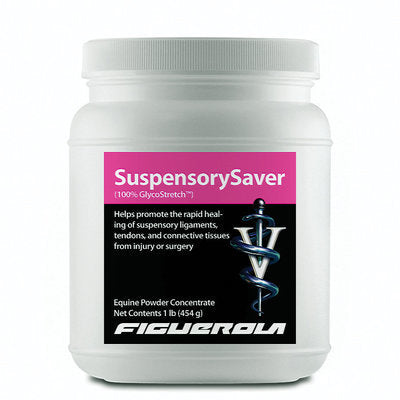 SuspensorySaver
