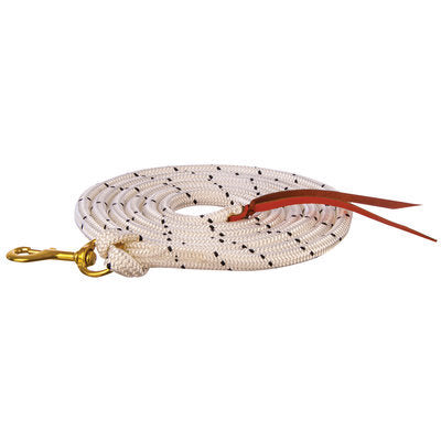 Jeffers Clinician Leads, 22&#39;