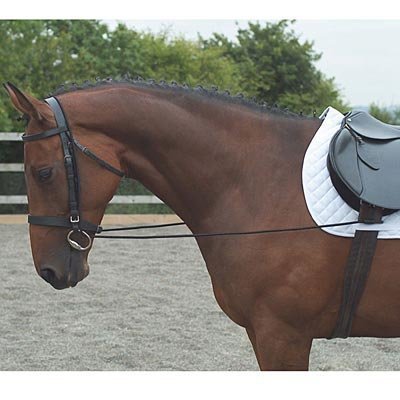 Elastic Training Reins