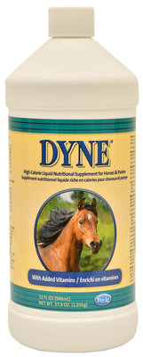 Dyne High Calorie Liquid for Horses
