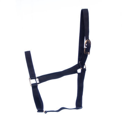 Jeffers Economy Halter, horse (900-1200 lb)