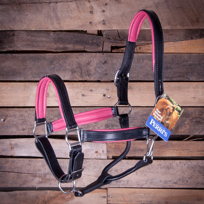 Perri&amp;#39;s Soft Padded Leather Halter, Black/Pink