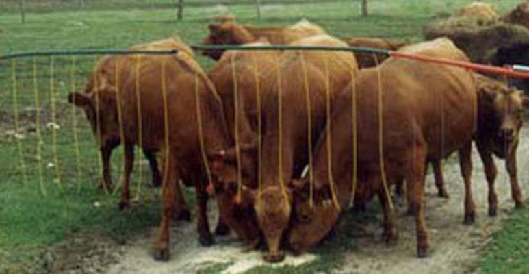 Drive-Thru Electric Adjustable Gate (&amp;amp; Replacement Parts)
