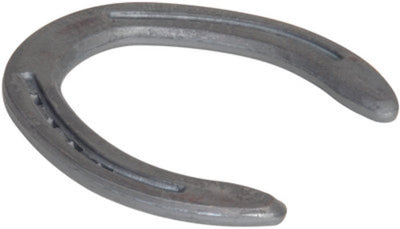 St. Croix EZ Hind Horseshoes