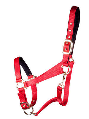 Lined Adjustable Nylon Halter for Medium Horse (600-900 lb)