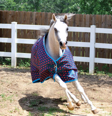 Jeffers 600D Exclusive Polka Dot Tempest Sheet, Pink