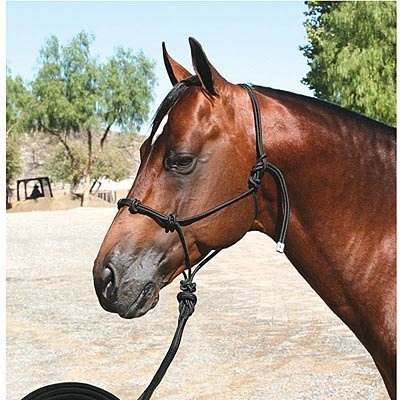 Clinician Halter