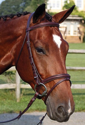 Nunn Finer &amp;quot;Galway&amp;quot; Bridle, Havana
