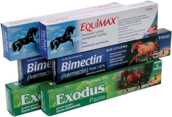 Apple Flavored Worming Kit