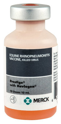 Prestige w/ Havlogen