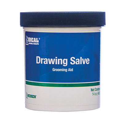 Drawing Salve, 14 oz