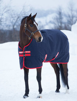 Rambo Original Medium Weight Horse Blanket