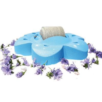 Lollyroll with Flower Shaped Holder