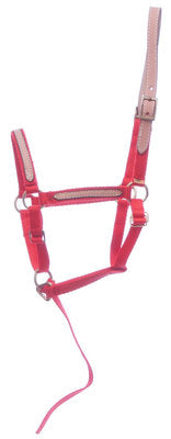 Miniature Breakaway Halter, Large