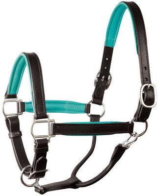 Perri&amp;#39;s Soft Padded Leather Halter, Black/Turquoise