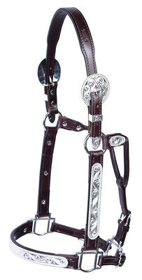 Dot Edge Horse Show Halter