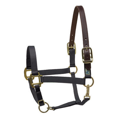 Perri&#39;s Breakaway Halter, Cob size